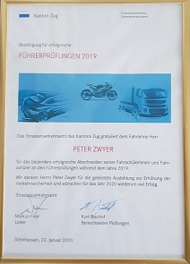 Bilder VIP - Fahrschule Zwyer    / e-drive Tesla